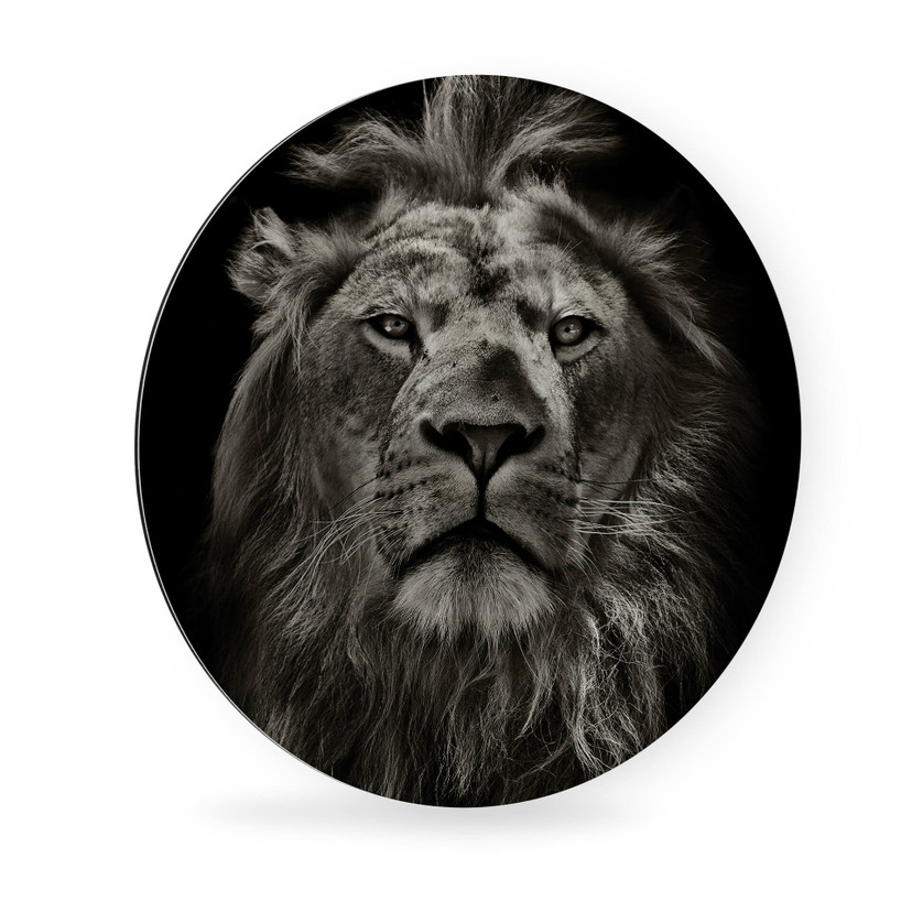 Tableau en Alu-Dibond Lion - Rond