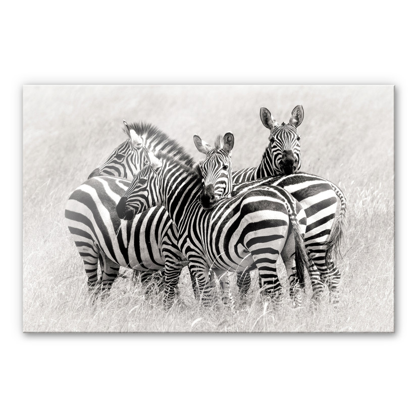 Akrylbillede Trubitsyn - Zebraer på savannen