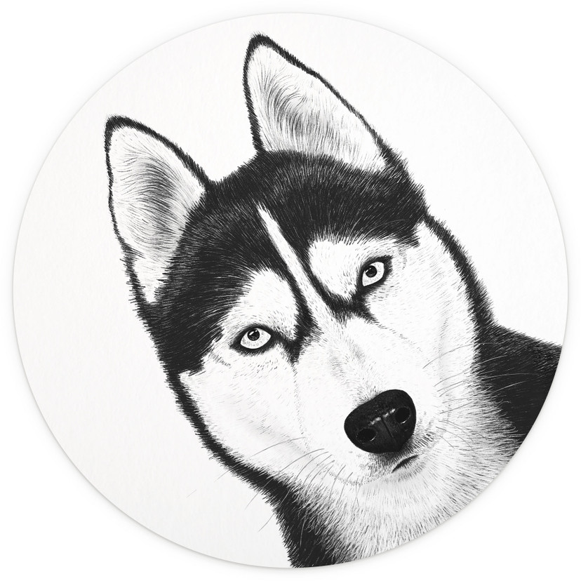 Papier peint photo Husky sibérien - portrait de chien - Korenkova - rond - - papier peint intissé/pa