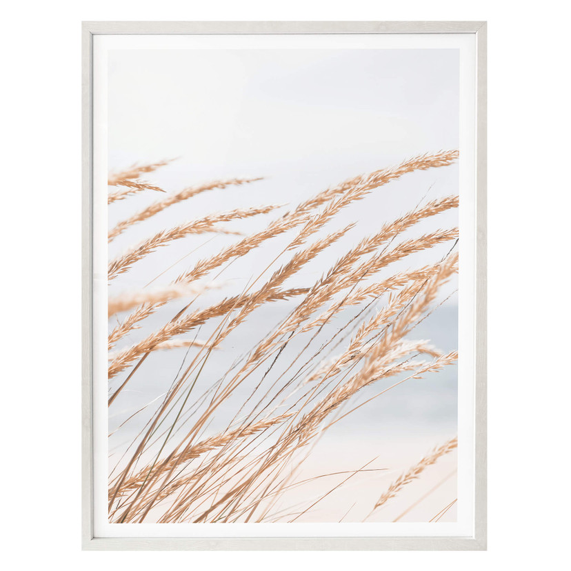 Plakat trawa wydmowa - format portretowy
