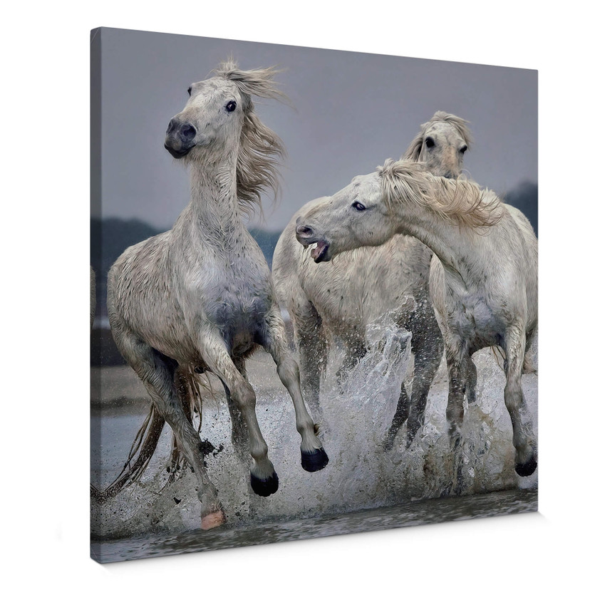 Canvasbillede - Keates - Move Over