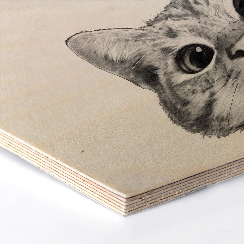 Hexagon berkenfineer - Graves - Sneaky Cat