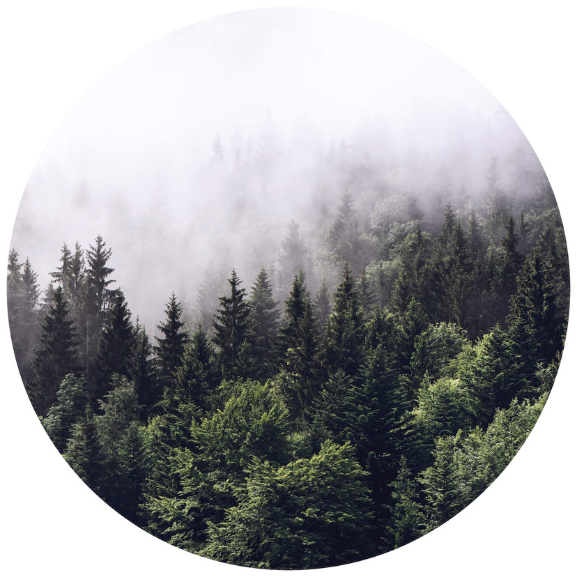 Papier peint photo Forêt dans la brume - Rond - papier peint intissé/papier peint intissé autocollan