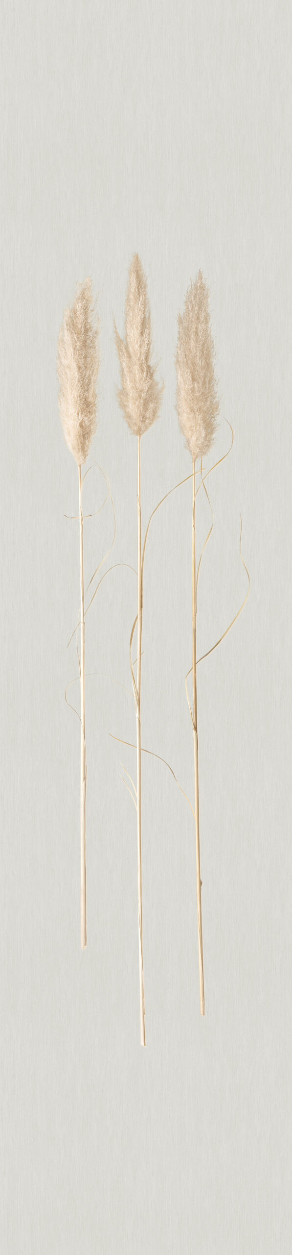 non-woven tapet naturlig opulens hvid grafik 3,30 x 0,70 cm