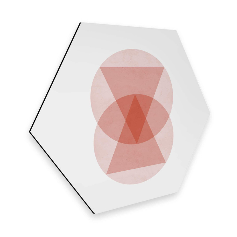 Hexagon Dibond Nouveauprints - Circles and Triangles