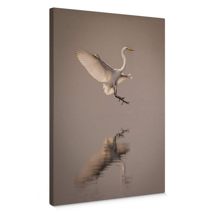 Leinwandbild Lai - Vogel-Landung auf dem Wasser